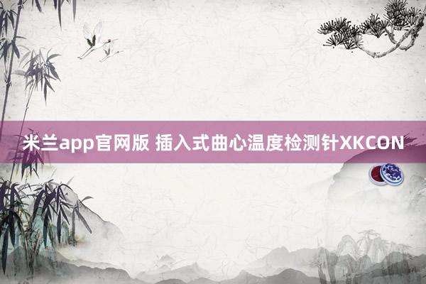 米兰app官网版 插入式曲心温度检测针XKCON