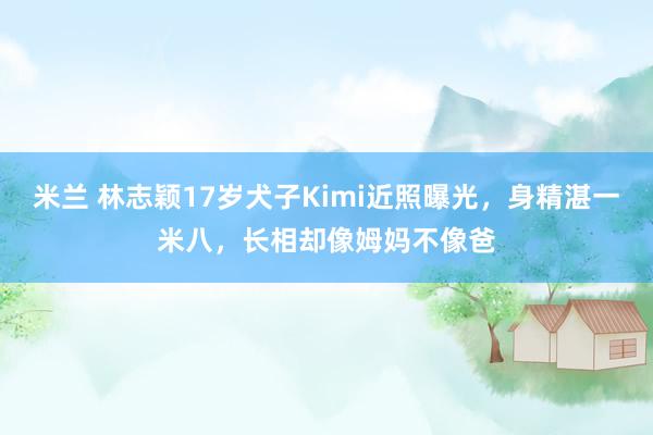 米兰 林志颖17岁犬子Kimi近照曝光，身精湛一米八，长相却像姆妈不像爸